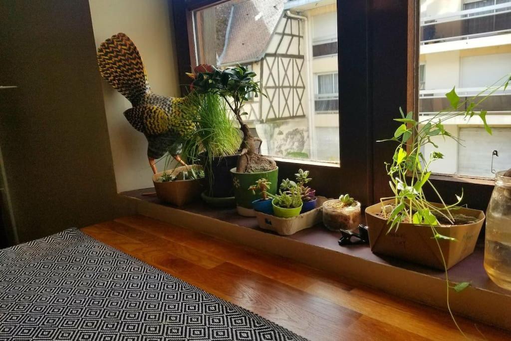 Cosy Apartment By The Magical Marais De Bourges Extérieur photo